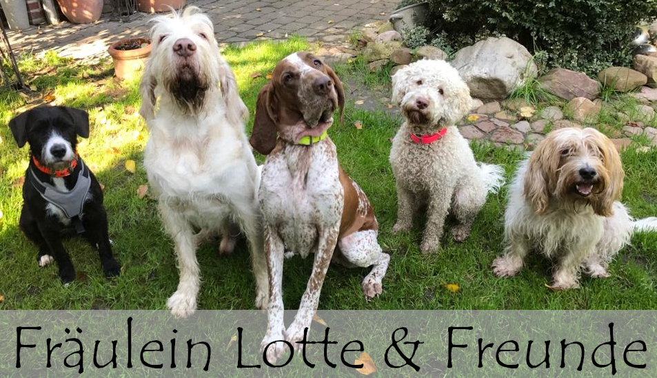 Fräulein Lotte &amp; Freunde